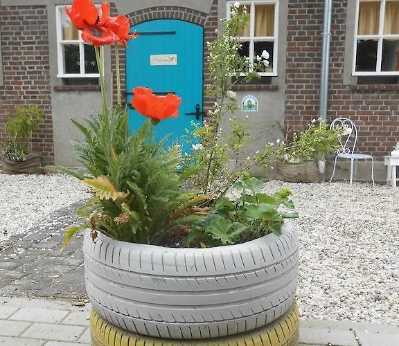 Buitenboel Bed & Breakfast