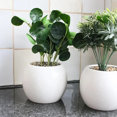 Buitenboel Bed & Breakfast Holthees