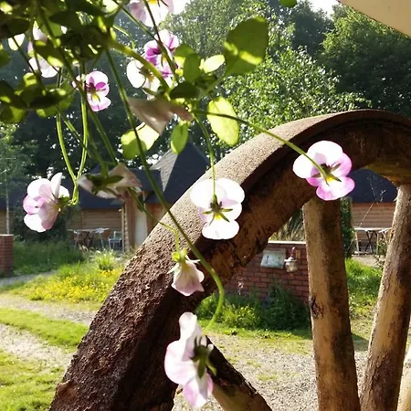 Buitenboel Bed & Breakfast