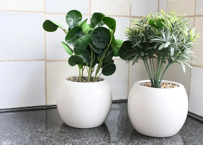 Buitenboel Nocleg ze śniadaniem Holthees