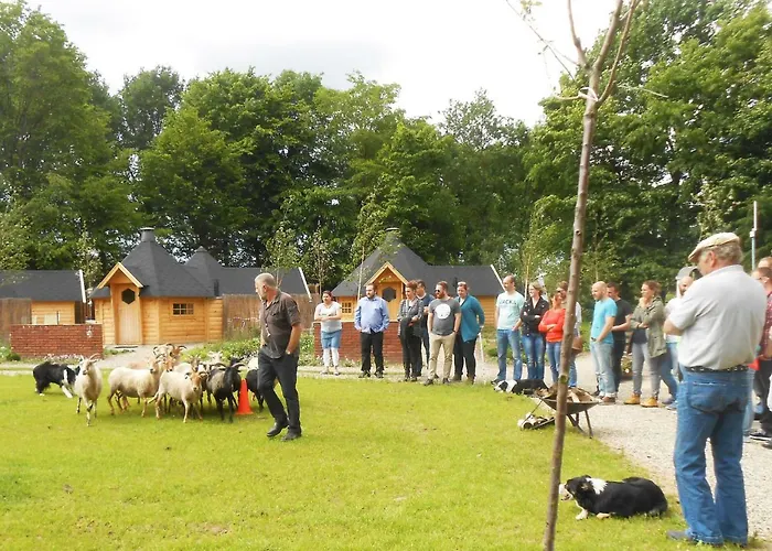 Nocleg ze śniadaniem Buitenboel Holthees