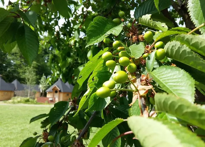 Buitenboel Nocleg ze śniadaniem *